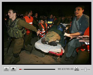 ����ۿ���Ƶ