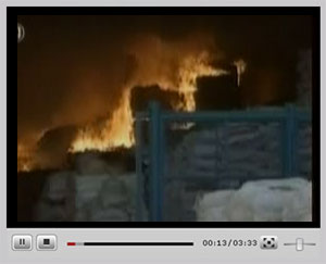 ����ۿ���Ƶ