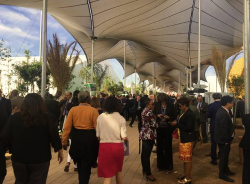 ���������������ֳ���<a target='_blank' href='http://www.chinanews.com/'>������</a>��� �㡣