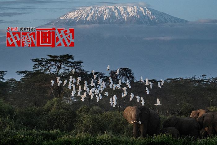 世界地球日 给未来的地球明信片