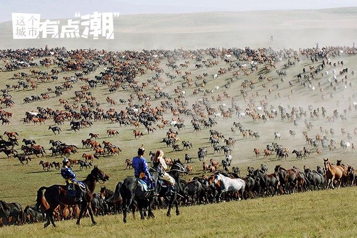 “含马量”超高的塞外小城