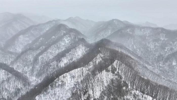 秦岭迎春雪 银装素裹宛如水墨画