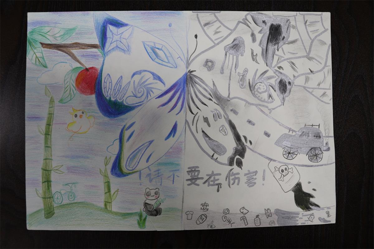 《请不要再伤害！》孙妙然 11岁