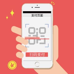 �������ƶ�֧������