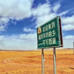 һͼ�����ɿ��������������