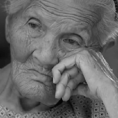 ��ο��������Ѫ��ʷ��������