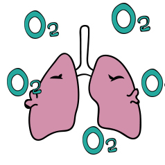 �����������������ղ߻������Ƿ�