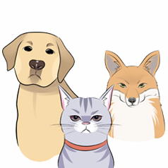 ��Ȯ��һ��������Ļ���������Ҫ֪����Щ��